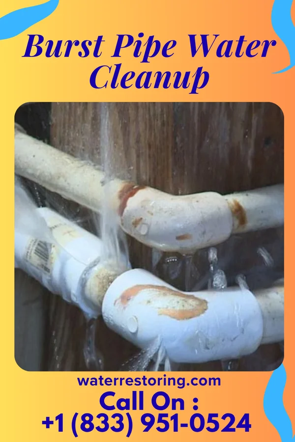 Burst Pipe Water Cleanup in North Robinson, OH