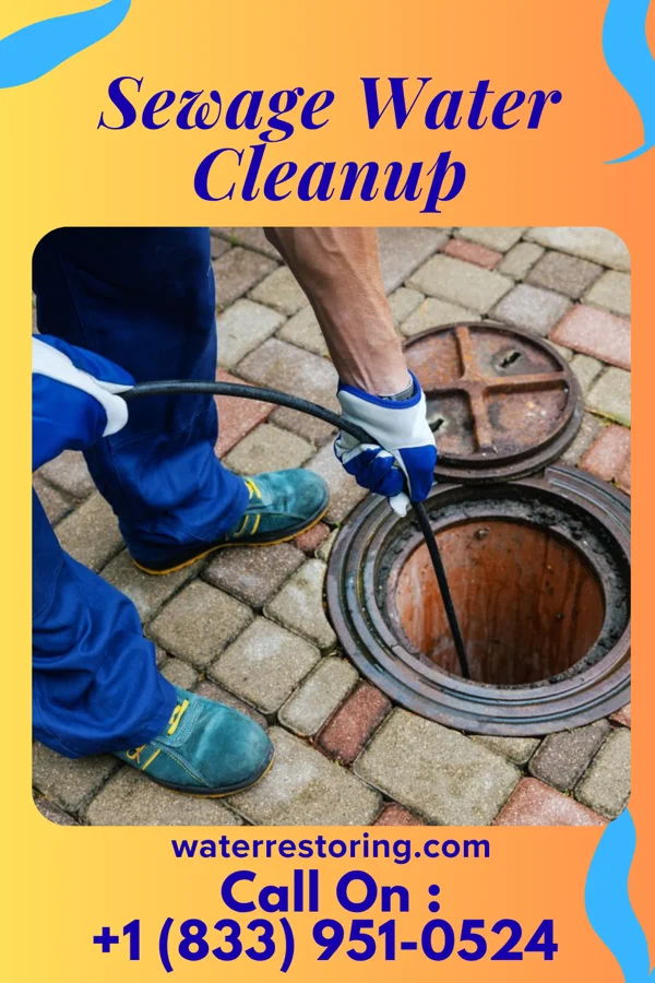 Sewage Water Cleanup in North Robinson, OH